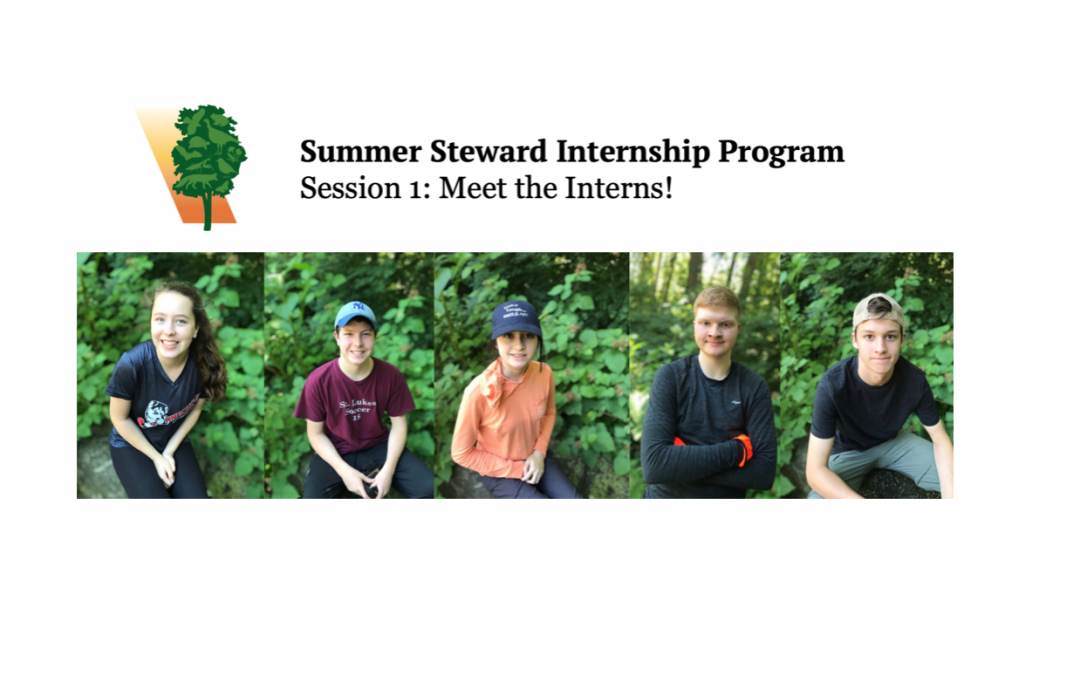 Meet NCLT’s Summer Steward Interns: Session 1!