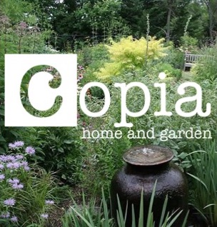 Buy Native Plants At Copia Support Nclt New Canaan Land Trust