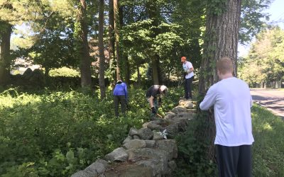 Summer Steward Internship 2019: Session 1, Week 2 Update