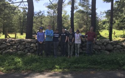 Summer Steward Internship 2019: Session 1, Week 4 Update