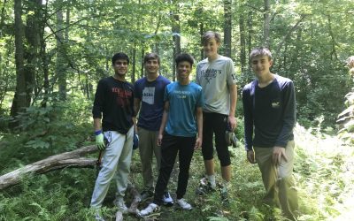 Summer Steward Internship 2019: Session 2, Week 1 Update