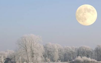 Winter Solstice Letter from NCLT’s Board President