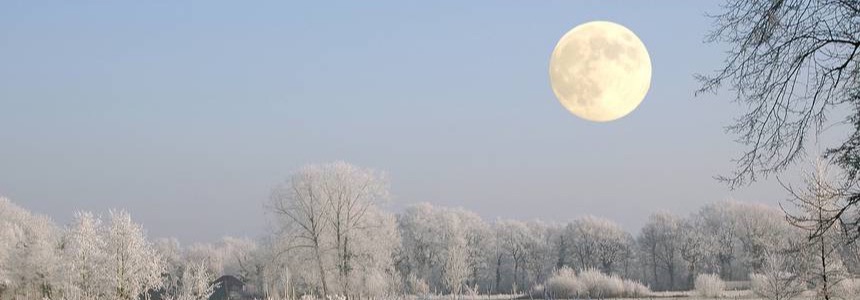Winter Solstice Letter from NCLT’s Board President