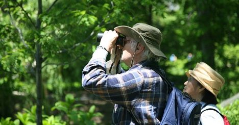 Take in Spring with a Guided Nature Walk