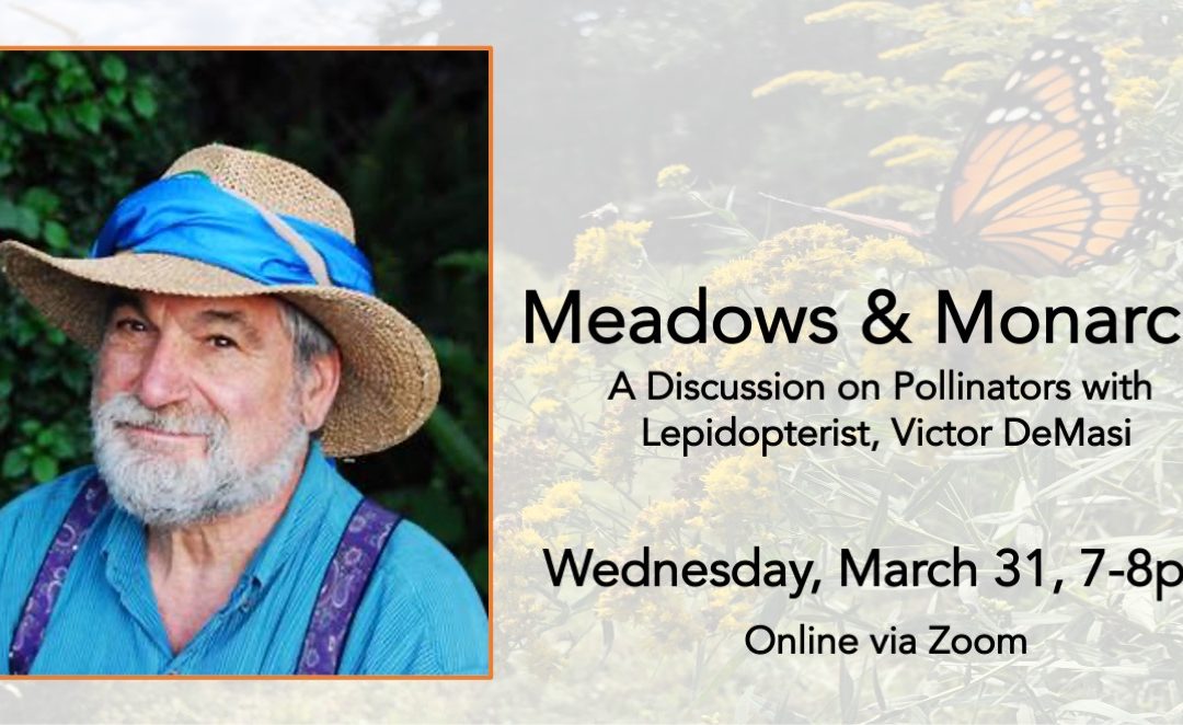 Meadows and Monarchs: A Discussion on Pollinators with Lepidopterist, Victor DeMasi