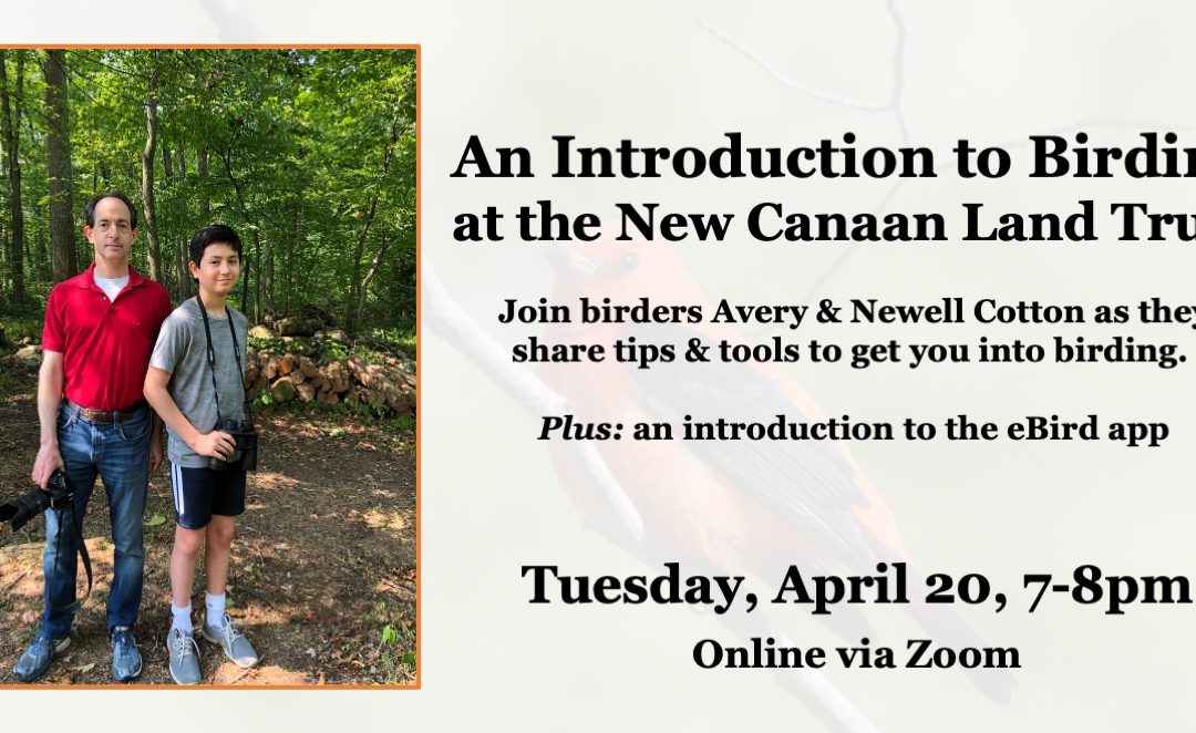 An Introduction to Birding at the New Canaan Land Trust