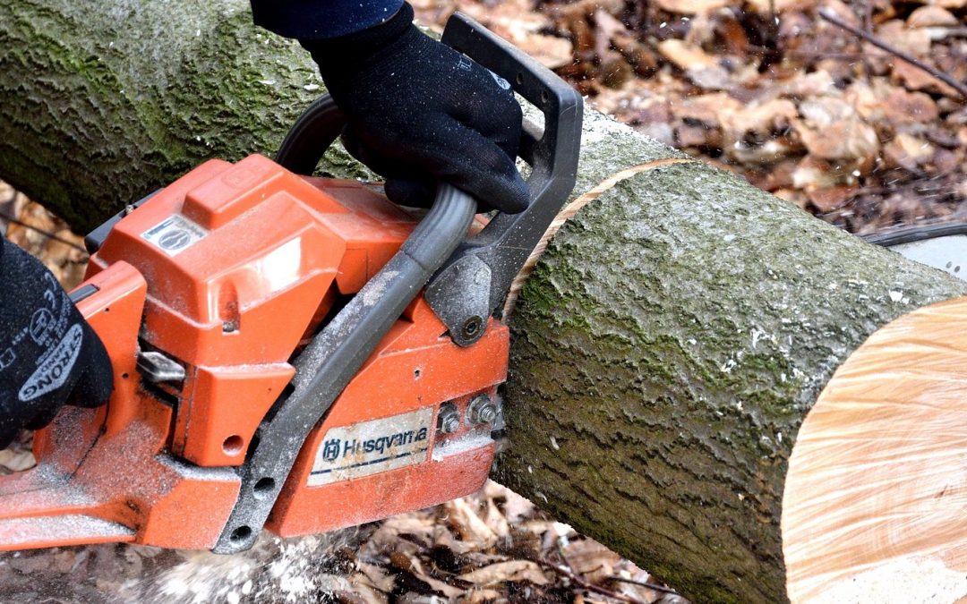 Chainsaw Safety Training