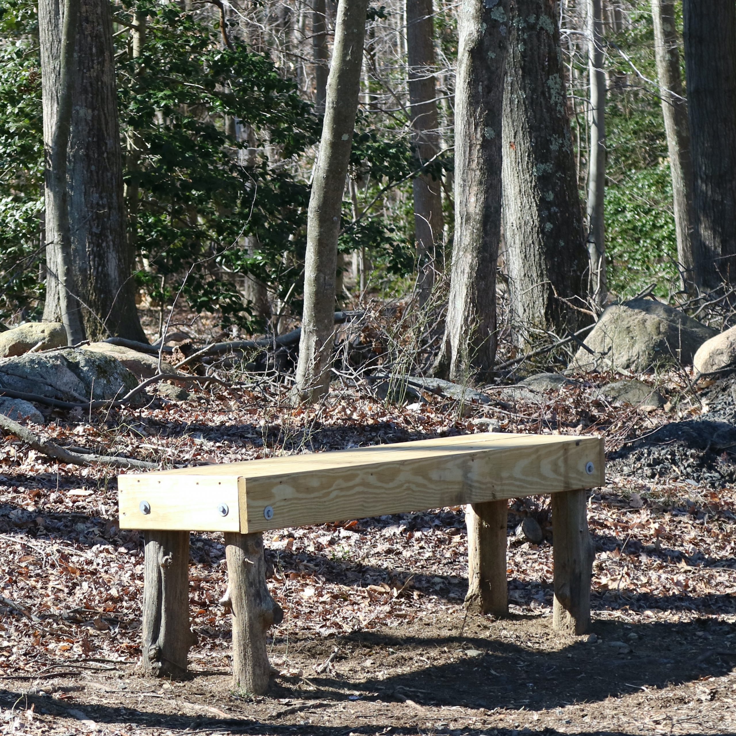 BesgenBench