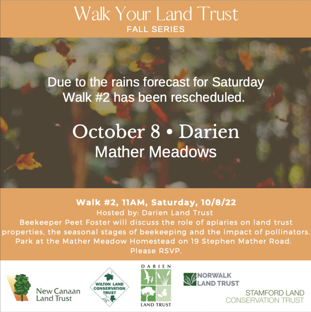 Fall Walk Series Darien Land Trust Walk at Mather Meadows New Canaan Land Trust
