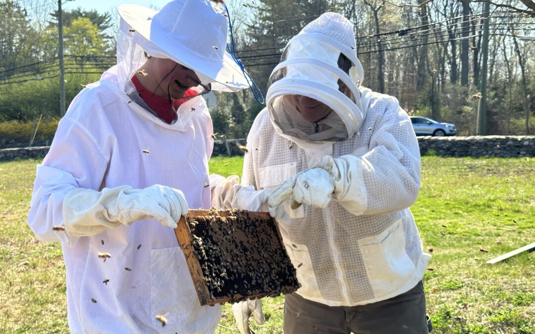 From Hive to Honey: A Collaborative Approach to Beekeeping