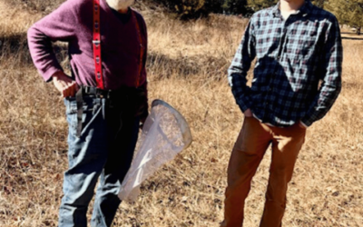 Celebrating Our Native Bees