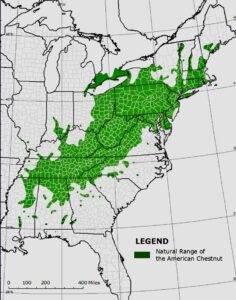 Map of the American Chestnut Range