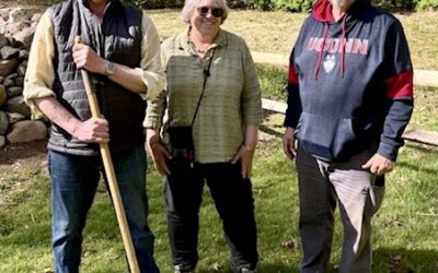 An American Chestnut Story