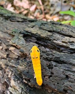 why leave the leaves 2