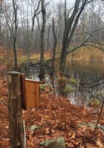 New Canaan wetlands ponds and vernal pools