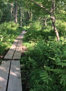 New Canaan wetlands ponds and vernal pools