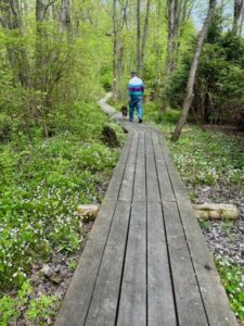New Canaan wetlands ponds and vernal pools